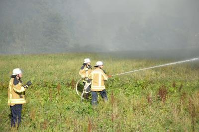 Schuppen brennt komplett aus in Cottenweiler - War es Brandstiftung?